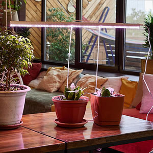 линейный led фитосветильник Uniel ULI-P33 - пример использования