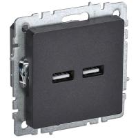 купить Брайт черный розетка USB A+A скрытая 2-ая  в Пензе Брайт черный розетка USB A+A скрытая 2-ая