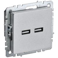 купить Брайт алюминий розетка USB A+A скрытая 2-ая  в Пензе Брайт алюминий розетка USB A+A скрытая 2-ая