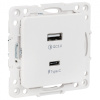 купить Стокгольм белый розетка USB type-A+type-C скрытая 2-ая  в Пензе Стокгольм белый розетка USB type-A+type-C скрытая 2-ая