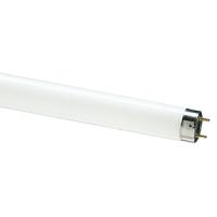купить Лампа люм G13 Т8 18Вт 4100К 1200лм Philips в Пензе Лампа люм G13 Т8 18Вт 4100К 1200лм Philips