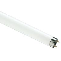 купить Лампа люм G13 Т8 18Вт 6500К 1080лм Philips в Пензе Лампа люм G13 Т8 18Вт 6500К 1080лм Philips