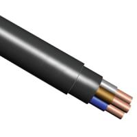 купить ВВГнг(A)-LS 4*10 ок(N)-0,66кВ медь круглый кабель ГОСТ Псковкабель SKT Group в Пензе ВВГнг(A)-LS 4*10 ок(N)-0,66кВ медь круглый кабель ГОСТ Псковкабель SKT Group