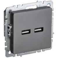 купить Брайт сталь розетка USB A+A скрытая 2-ая  в Пензе Брайт сталь розетка USB A+A скрытая 2-ая