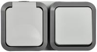 TORS Блок розетка + выключ. гор. 16А IP55 TS242 сер-бел IEK