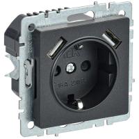 BRITE Роз. с з/к/ш 16А с USB A+A 3,1А РЮш10-2-БрЧ черн. IEK