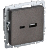 купить Брайт бронза розетка USB A+C скрытая 2-ая  в Пензе Брайт бронза розетка USB A+C скрытая 2-ая