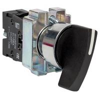 купить Переключатель BJ21 2пол. черный IP40 EKF  в Пензе Переключатель BJ21 2пол. черный IP40 EKF