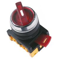 купить Переключатель АNС-22-2 2пол. красный с подсветкой IP40 IEK  в Пензе Переключатель АNС-22-2 2пол. красный с подсветкой IP40 IEK