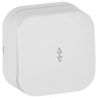 купить Глори белый переключатель 1кл открытая 10А IP20  в Пензе Глори белый переключатель 1кл открытая 10А IP20