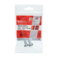 купить Шуруп сантехнический 8*70мм цинк DIN 571 2шт в Пензе Шуруп сантехнический 8*70мм цинк DIN 571 2шт