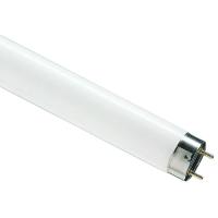 купить Лампа люм G13 Т8 58Вт 6500К 5000лм Osram  в Пензе Лампа люм G13 Т8 58Вт 6500К 5000лм Osram