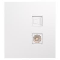 купить MIELE STRONG Розетка компьютерная RJ45 кат6 + TV с/у жемчуг KRANZ в Пензе MIELE STRONG Розетка компьютерная RJ45 кат6 + TV с/у жемчуг KRANZ