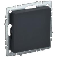 купить Брайт графит заглушка  в Пензе Брайт графит заглушка