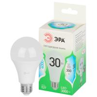 купить Лампа светодиодная 220В Е27 30Вт 4000К 3000лм стандарт A65 матовая ЭРА Green Line в Пензе Лампа светодиодная 220В Е27 30Вт 4000К 3000лм стандарт A65 матовая ЭРА Green Line