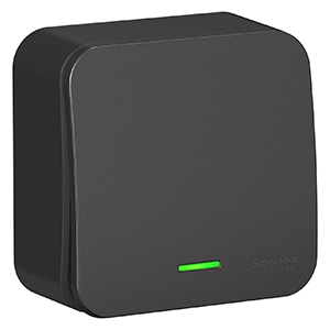 купить Бланка выключатель открытая антрацит 1кл 10А с подсветкой IP20  в Пензе Бланка выключатель открытая антрацит 1кл 10А с подсветкой IP20