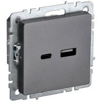 купить Брайт сталь розетка USB A+C скрытая 2-ая  в Пензе Брайт сталь розетка USB A+C скрытая 2-ая