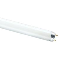 купить Лампа люм G13 Т8 36Вт 4000К 2850лм Osram  в Пензе Лампа люм G13 Т8 36Вт 4000К 2850лм Osram