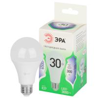 купить Лампа светодиодная 220В Е27 30Вт 6500К 3000лм стандарт A65 матовая ЭРА Green Line в Пензе Лампа светодиодная 220В Е27 30Вт 6500К 3000лм стандарт A65 матовая ЭРА Green Line