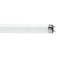 купить Лампа люм G13 Т8 30Вт 6200К 1825лм Philips в Пензе Лампа люм G13 Т8 30Вт 6200К 1825лм Philips