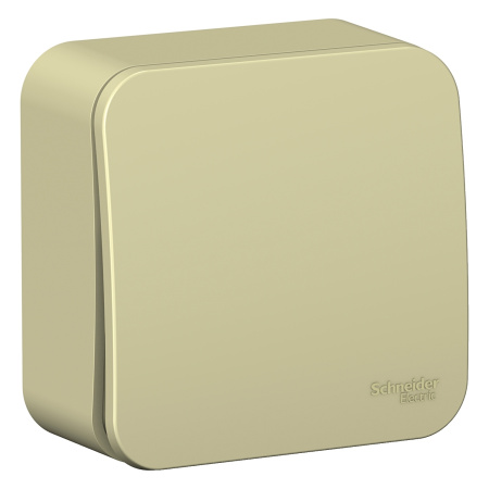 купить Бланка бежевый переключатель 1кл открытая 10А IP20  в Пензе Бланка бежевый переключатель 1кл открытая 10А IP20