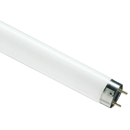 купить Лампа люм G13 Т8 58Вт 6500К 5000лм Osram  в Пензе Лампа люм G13 Т8 58Вт 6500К 5000лм Osram