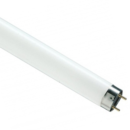 купить Лампа люм G13 Т8 30Вт 4000К 2100лм Osram  в Пензе Лампа люм G13 Т8 30Вт 4000К 2100лм Osram