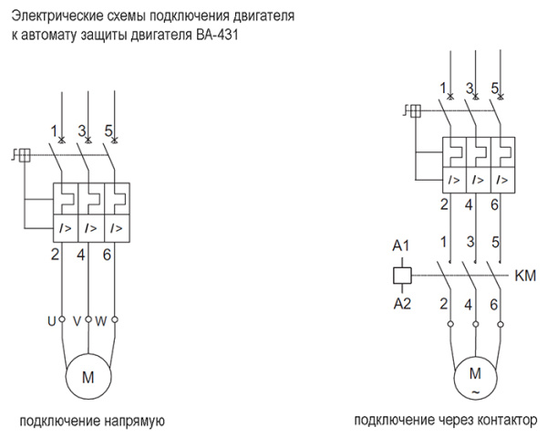 купить Автомат защиты двигателя 1,6-2,5А ВА-431 Schneider Electric в Пензе Автомат защиты двигателя 1,6-2,5А ВА-431 Schneider Electric