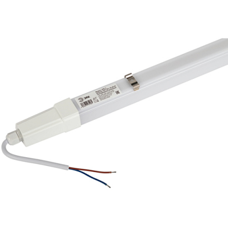 Светильник ДСП 18Вт 6500К 1800лм 600мм матовый IP65 SPP-301 ЭРА 