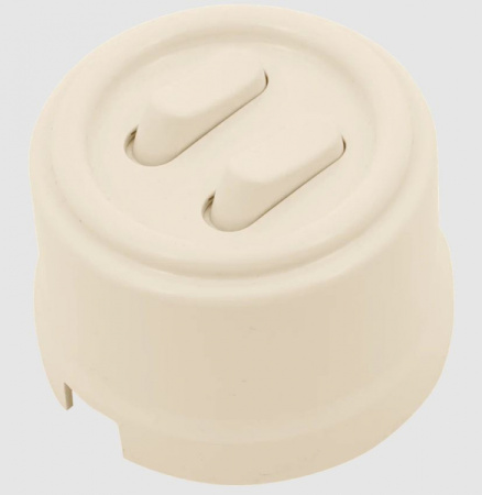 купить Бирони ваниль выключатель 2кл открытая 10А IP20  клавишный  Jantera в Пензе Бирони ваниль выключатель 2кл открытая 10А IP20  клавишный  Jantera