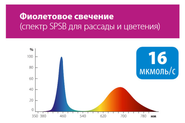 W:\img\_ivanov\28_12_2022_ken\dop\512153_diagram.jpg