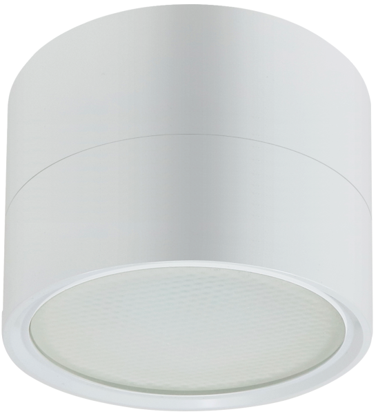 купить Светильник даунлайт 1*12Вт GX53 цилиндр белый накладной ЭРА в Пензе Светильник даунлайт 1*12Вт GX53 цилиндр белый накладной ЭРА