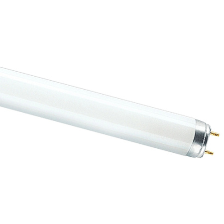 купить Лампа люм G13 Т8 36Вт 4000К 2850лм Osram  в Пензе Лампа люм G13 Т8 36Вт 4000К 2850лм Osram